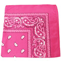 96 Pack 100% Cotton Double Sided Paisley Bandanas E80971
