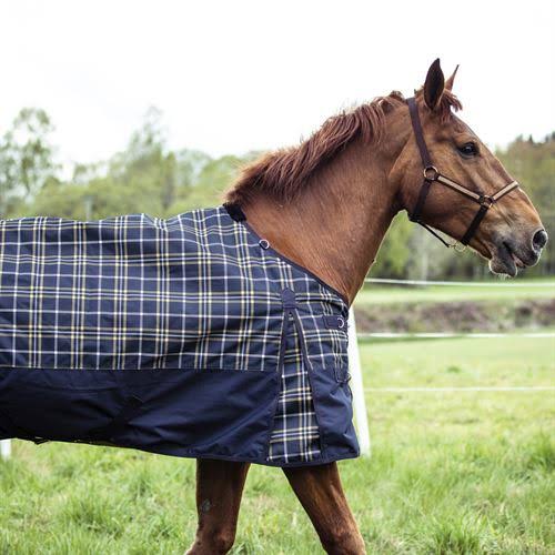 1200D Lightweight Turnout Sheet - 100g P36403