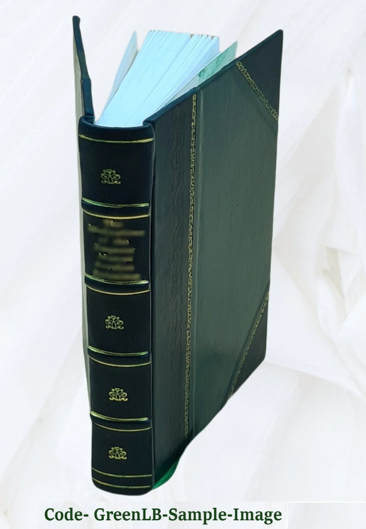 The Works of Virgil: In Latin & English. The Aeneid 1778 [Leather Bound] W53561
