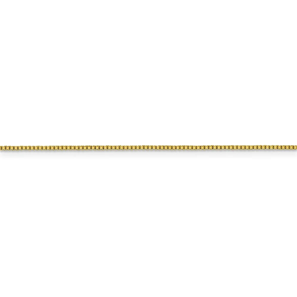 10kt Yellow Gold Octagonal Box Chain 20 inch Lobster Clasp Y610253