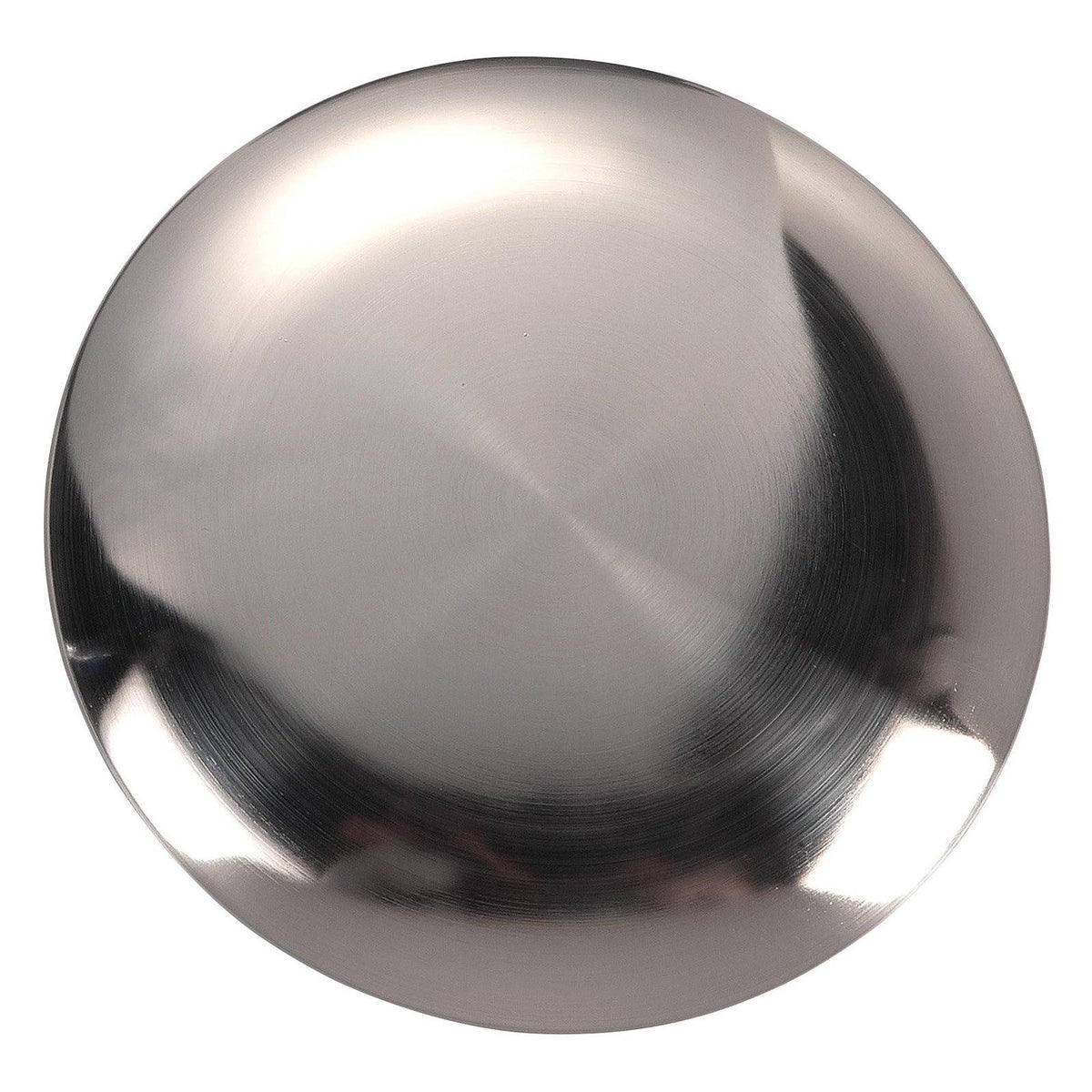 Brushed Steel Blanking Plate R563