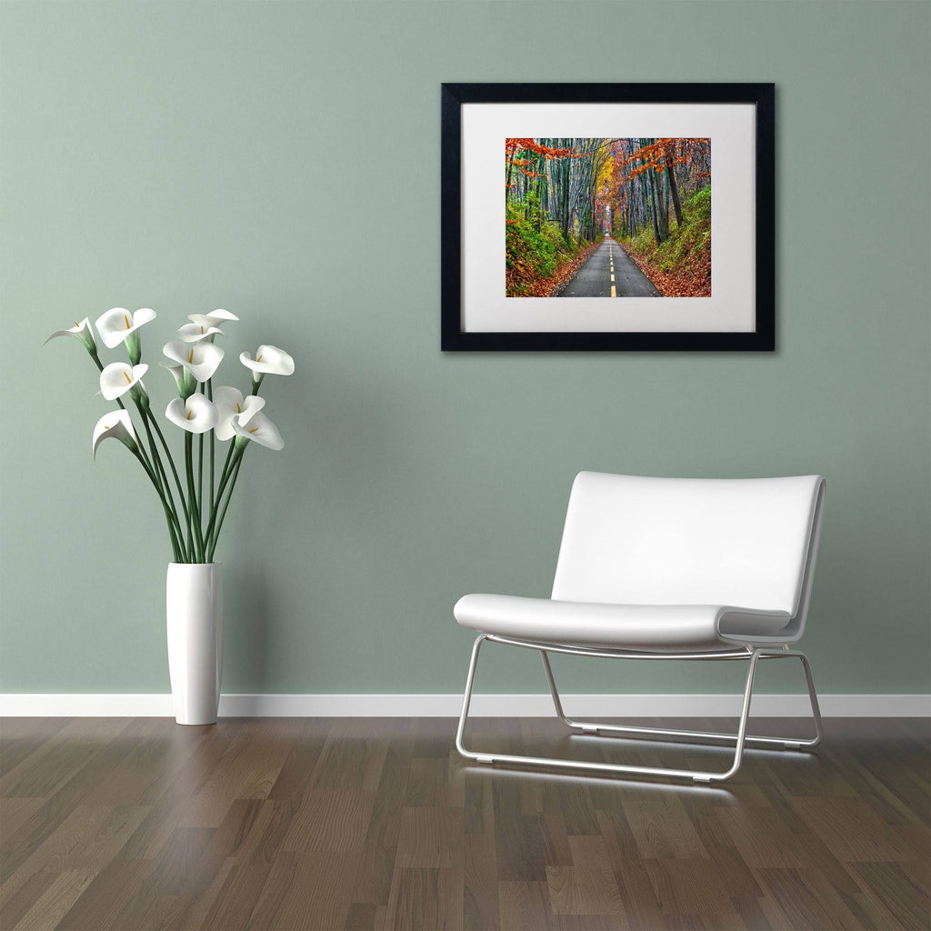 White Matte Wood Frame CATeyes Paths Art V7680