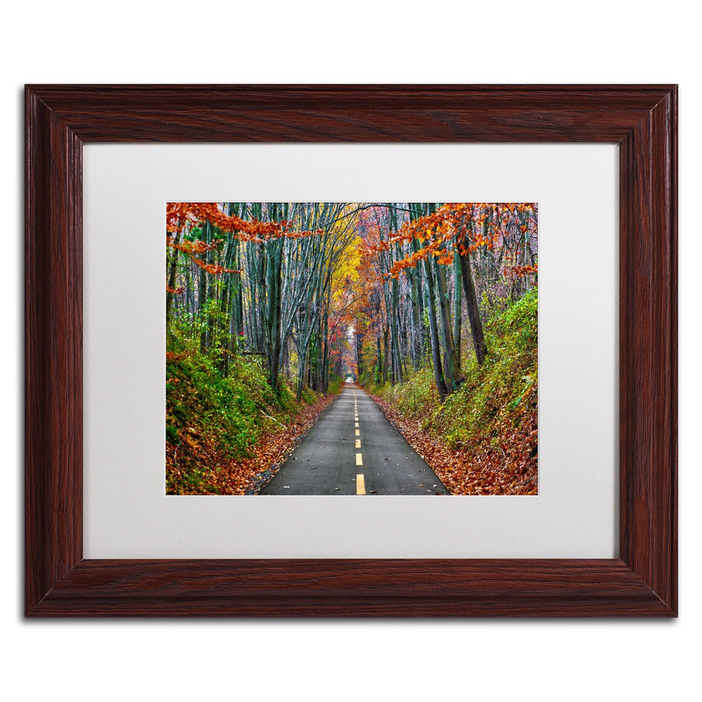 White Matte Wood Frame CATeyes Paths Art V7680