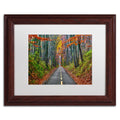 White Matte Wood Frame CATeyes Paths Art V7680