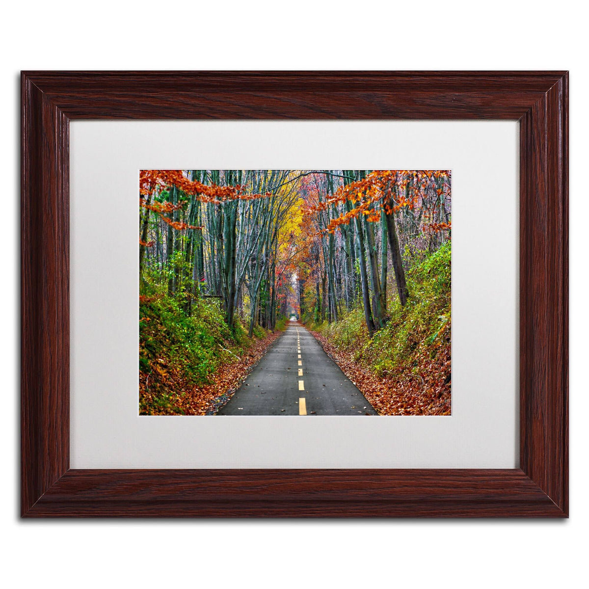 White Matte Wood Frame CATeyes Paths Art V7680