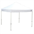 White 10x10 Instant Canopy N328267