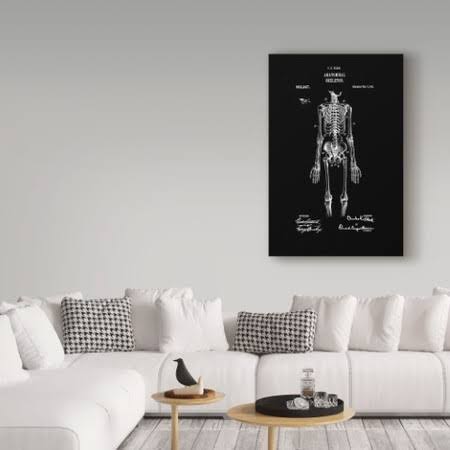 Anatomical Skeleton Art Print G654618