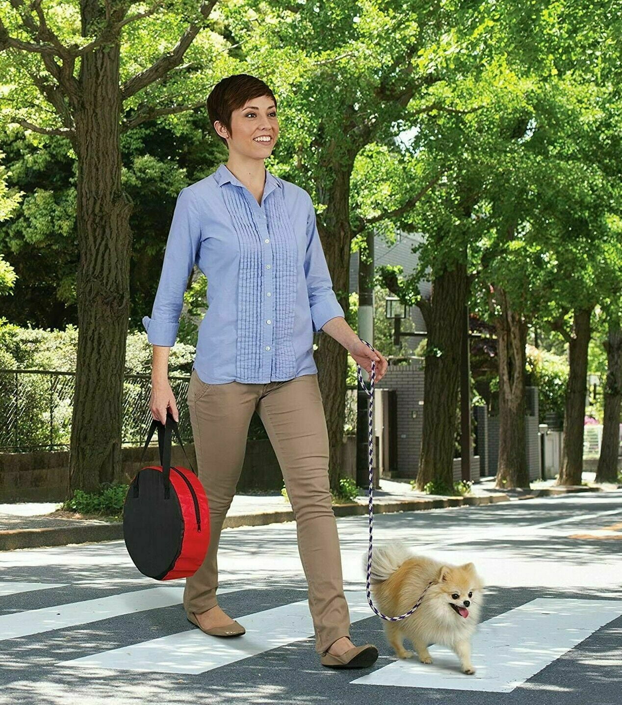 Pop Up Portable Pet Play Pen Mesh Tent G3155