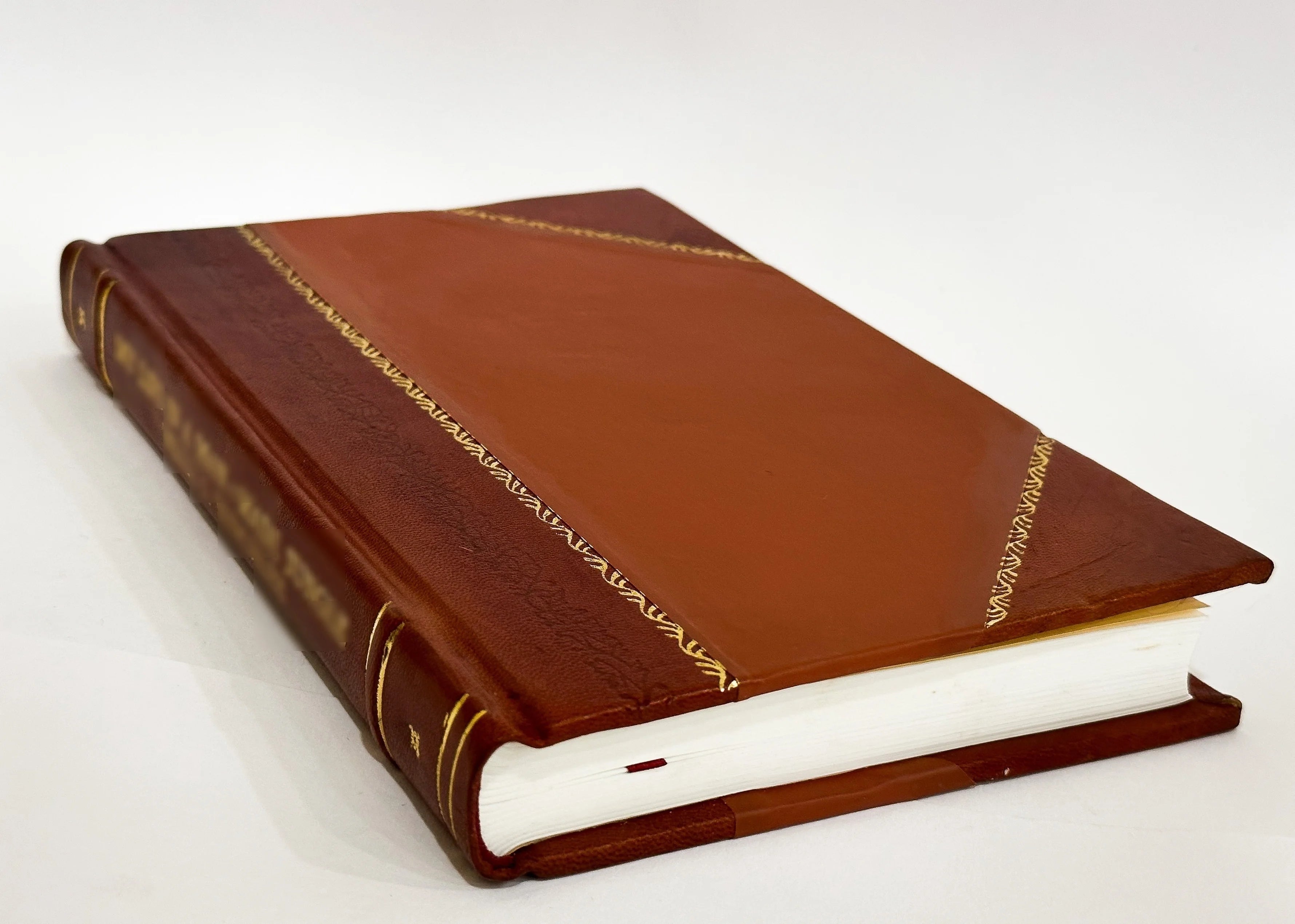 Leather Bound Book K895