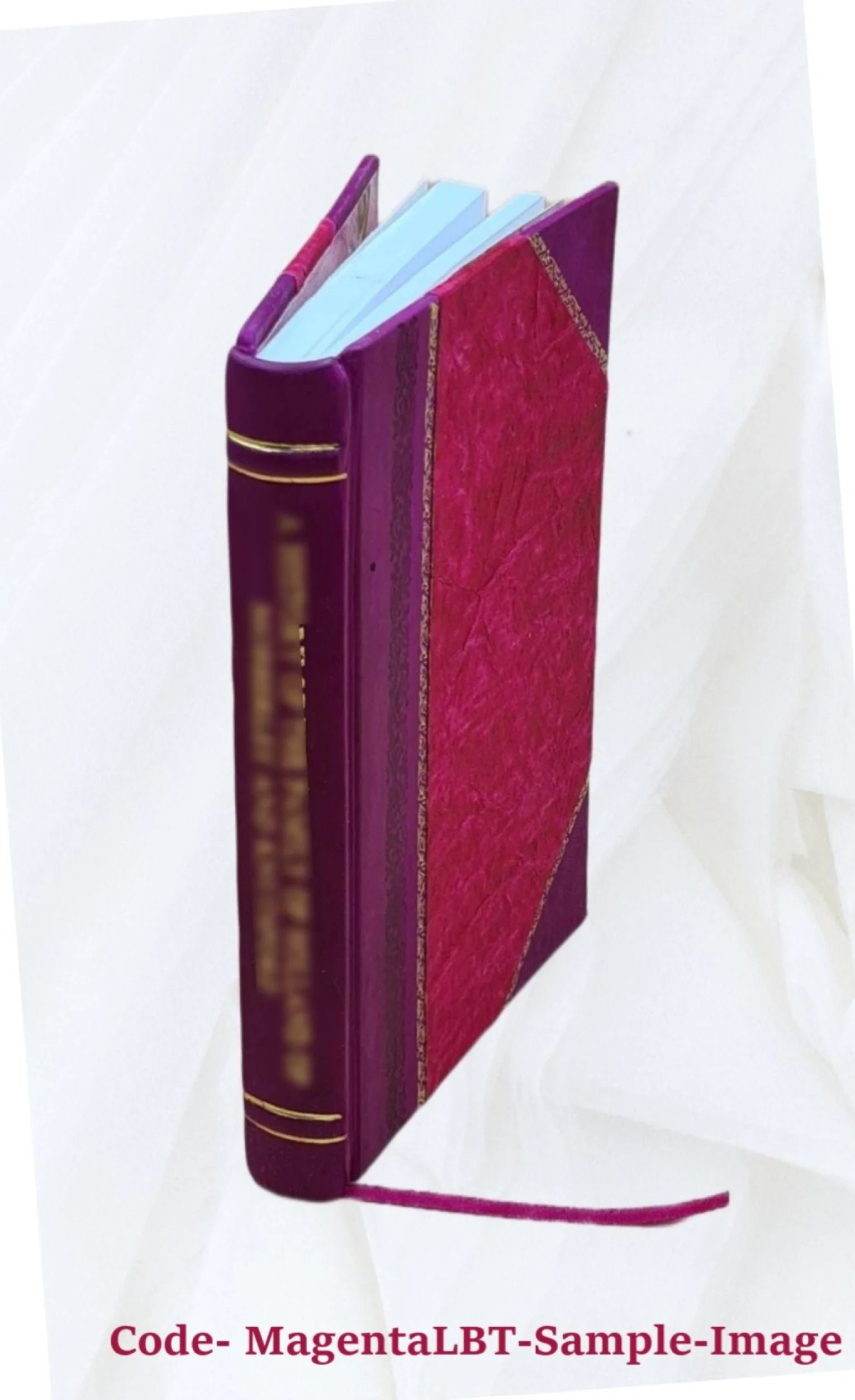 Leather Bound Book Y80592