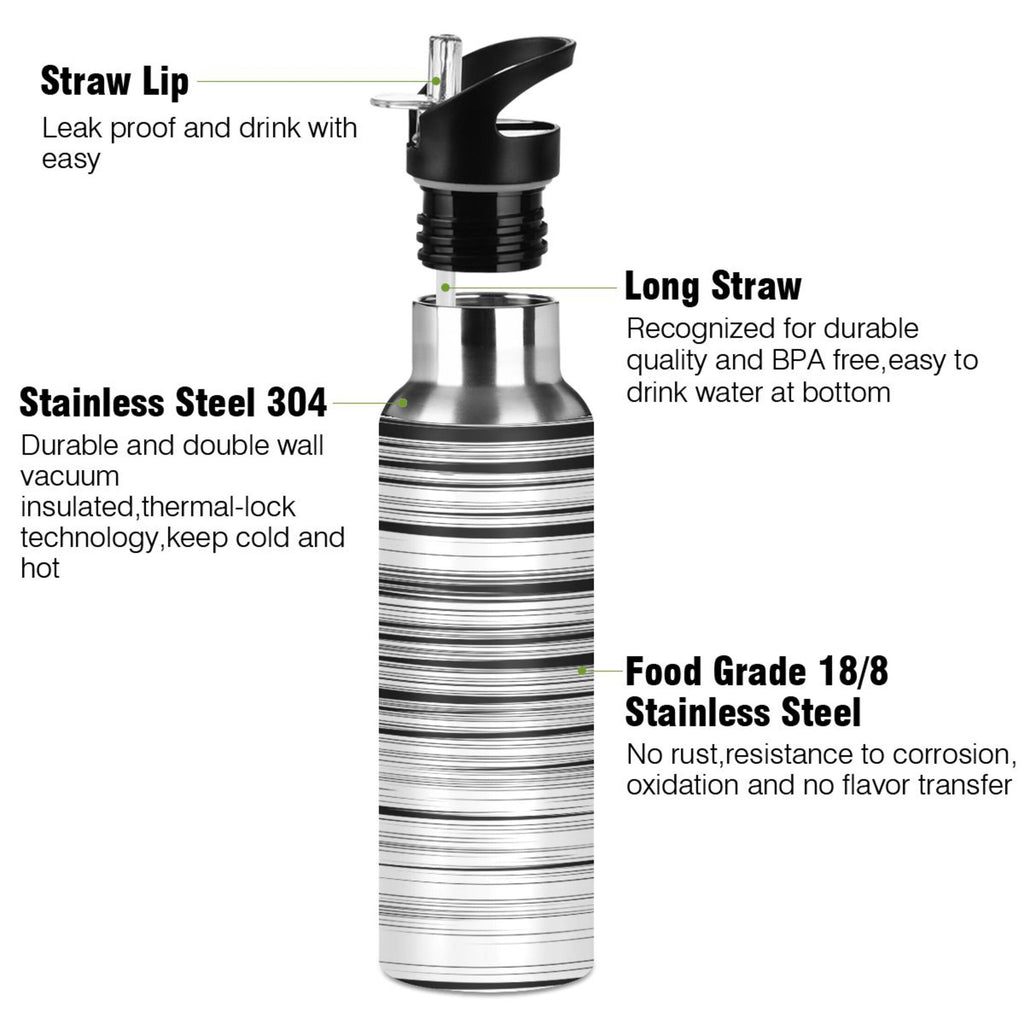 20 OZ Stainless Steel Vacuum Insulated Water Bottle with Straw Lid P223693