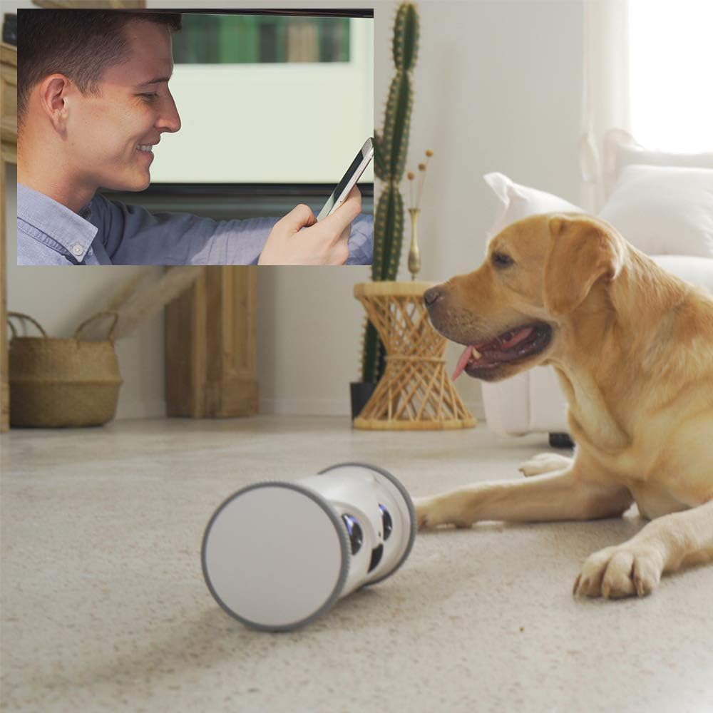 Owl Robot Pet Camera with Treat Dispenser H7219