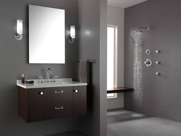 Slide Bar with Hand Shower Z563