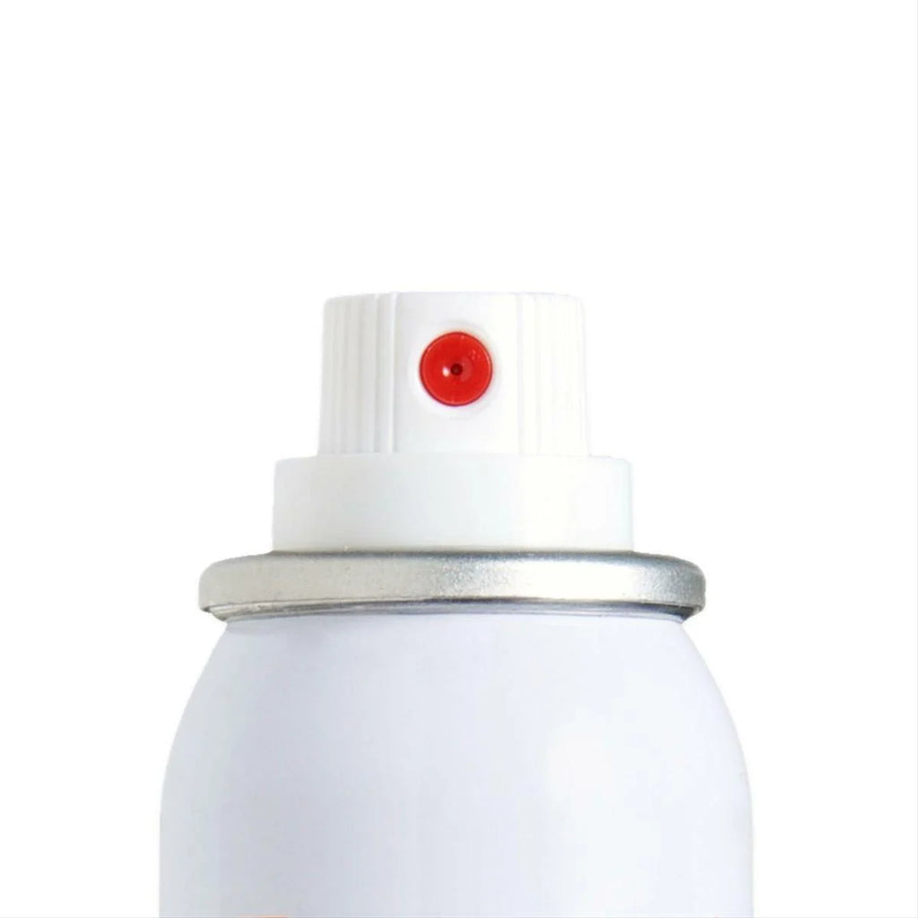 Touch Up Single Stage Plus Primer Spray Paint R843