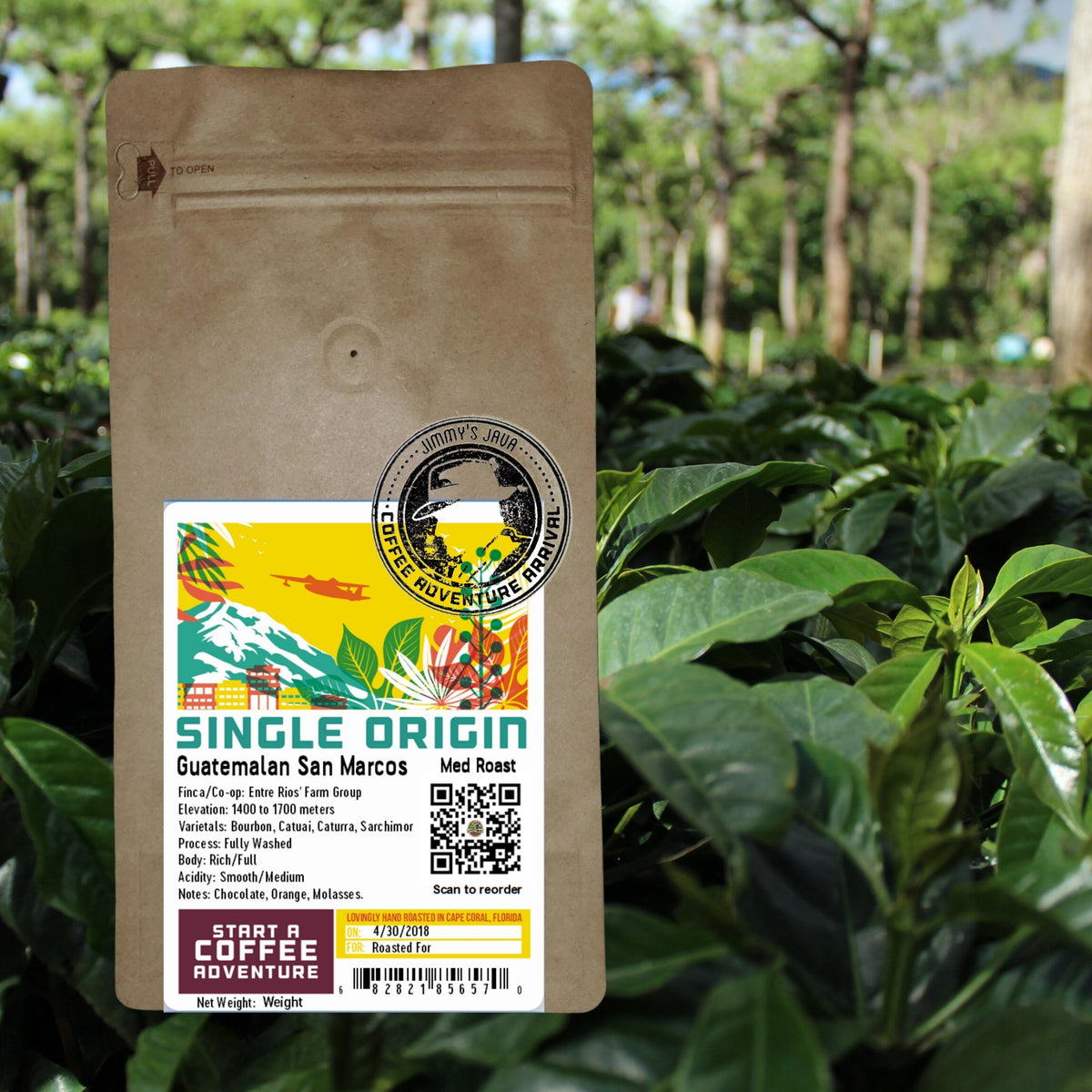Medium Roast Guatemalan SHB San Marcos Coffee I9185