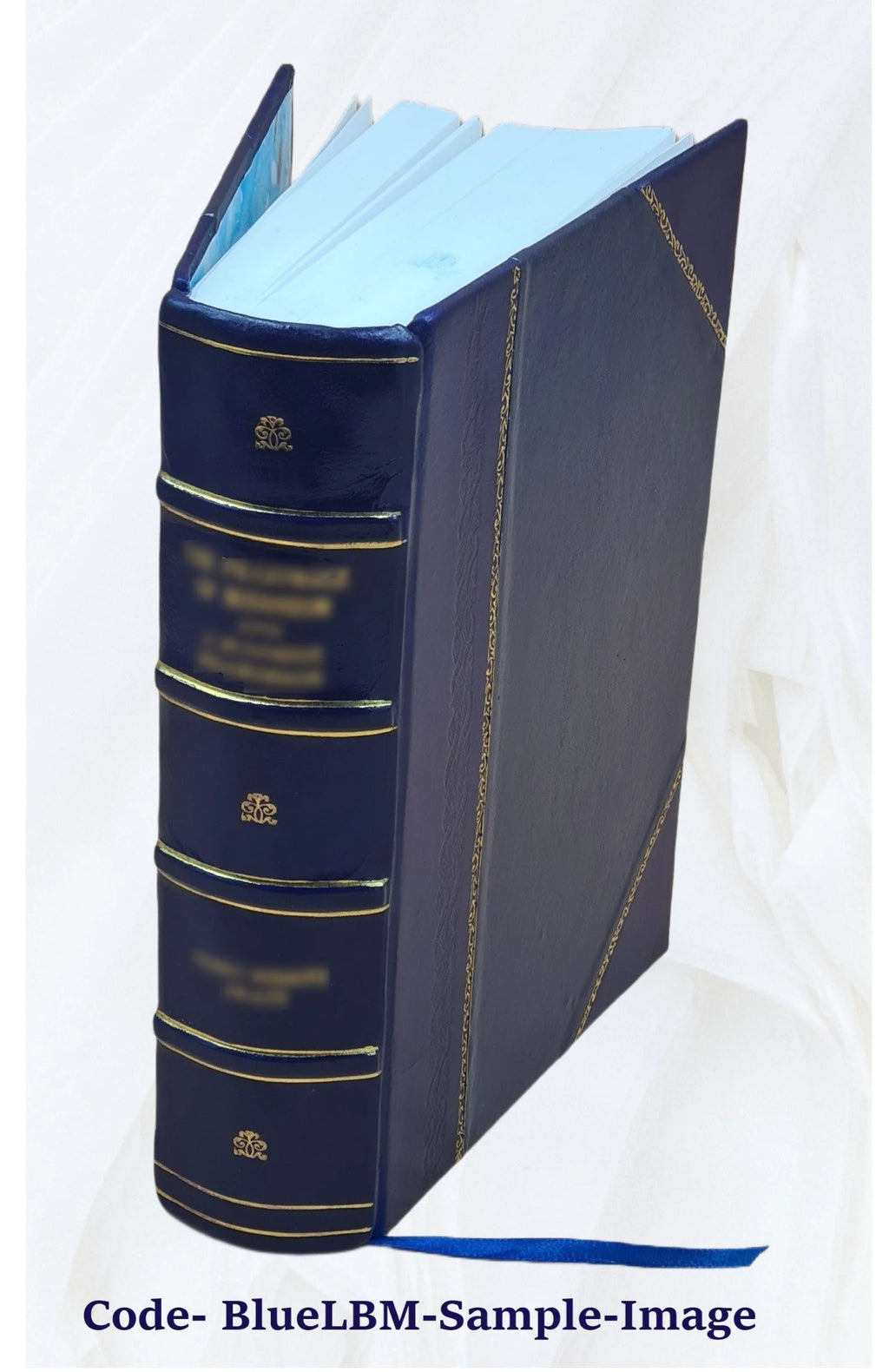 Leather Bound Book Y877