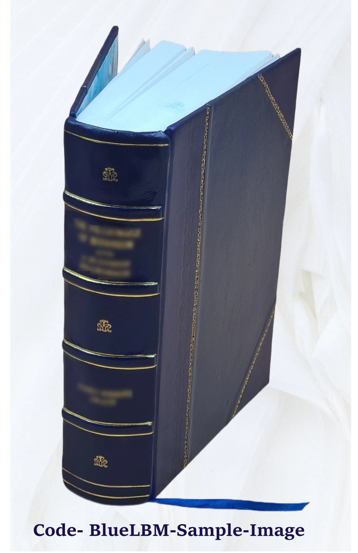 Leather Bound Book Y877
