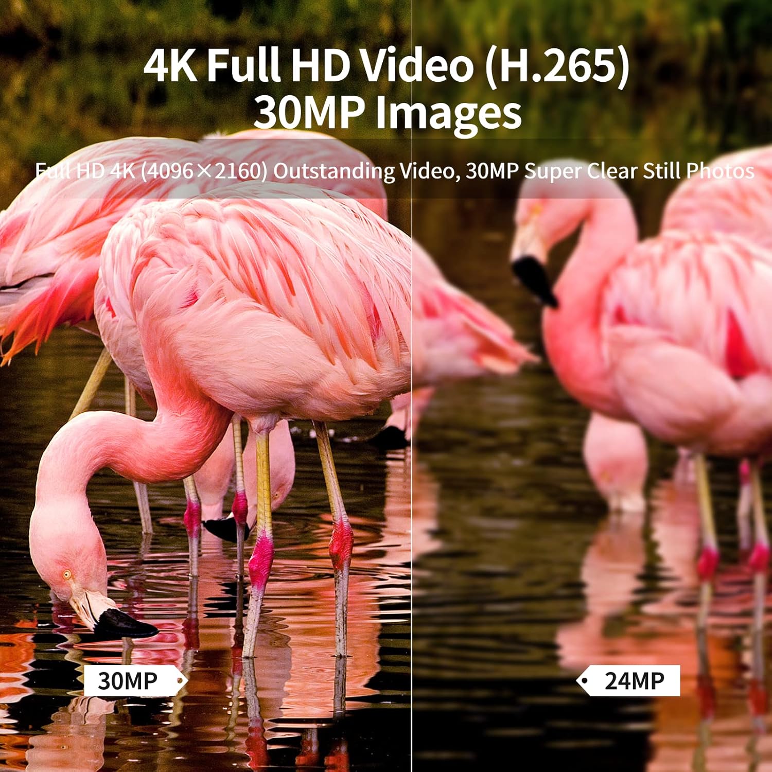 4K 30MP Night Vision Motion Activated Waterproof Hunting Camera Q341401