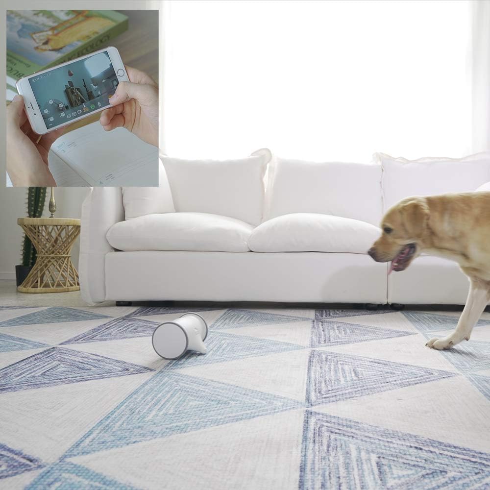 Owl Robot Pet Camera with Treat Dispenser H7219