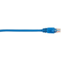 Blue 20-ft Cat5e Patch Cable 25-Pack D651187