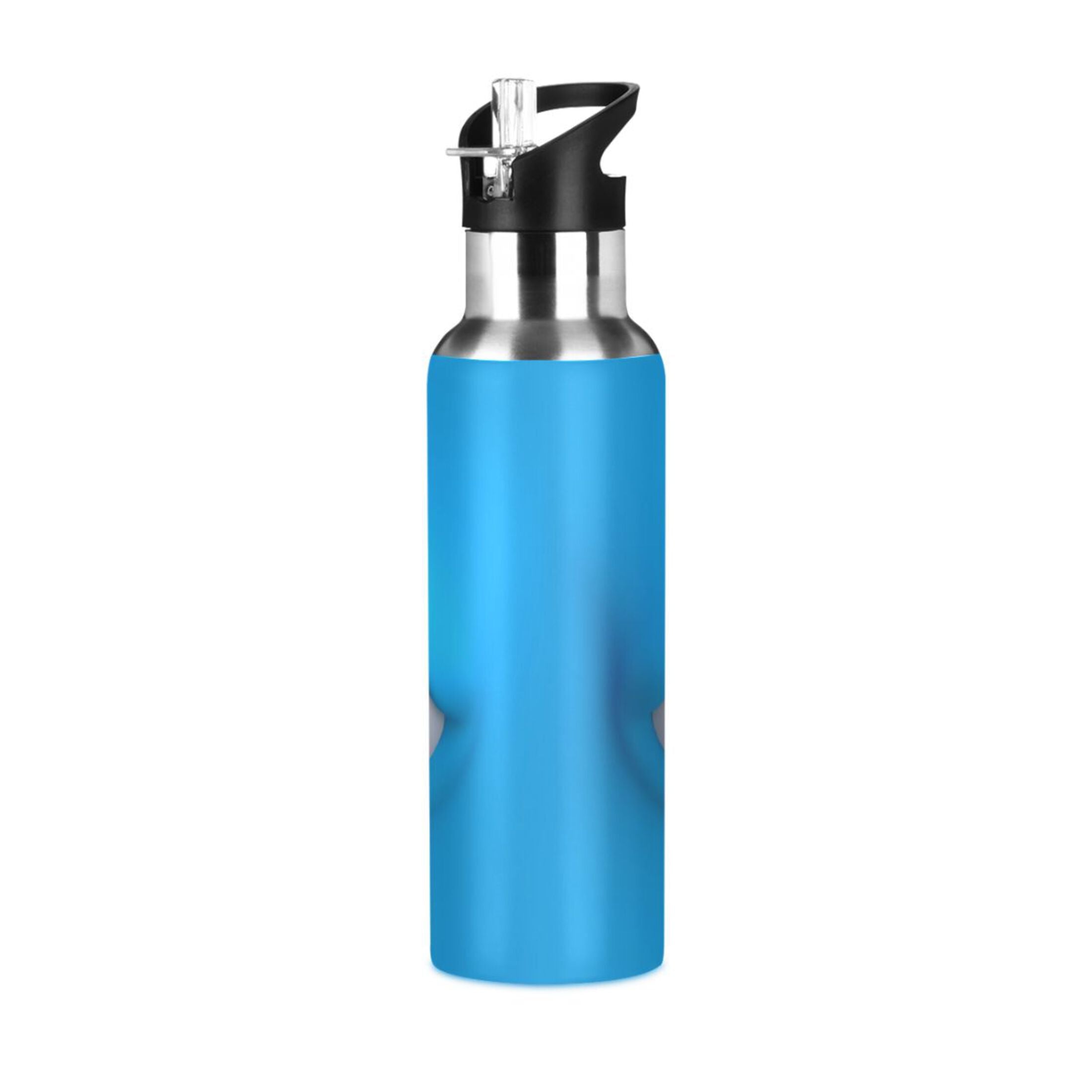 Stainless Steel Insulated Water Bottle with Straw Lid A67553