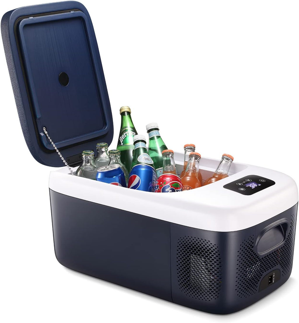 Car Refrigerator with 12/24V DC and 120-240V AC A839309