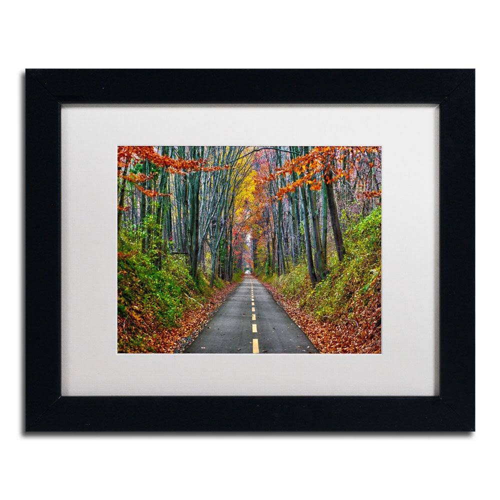 White Matte Wood Frame CATeyes Paths Art V7680