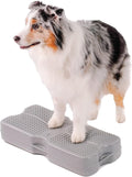 Turquoise Canine Conditioning Platform S210
