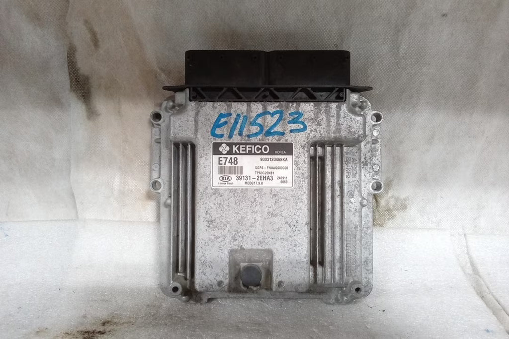 Electronic Control Module X242