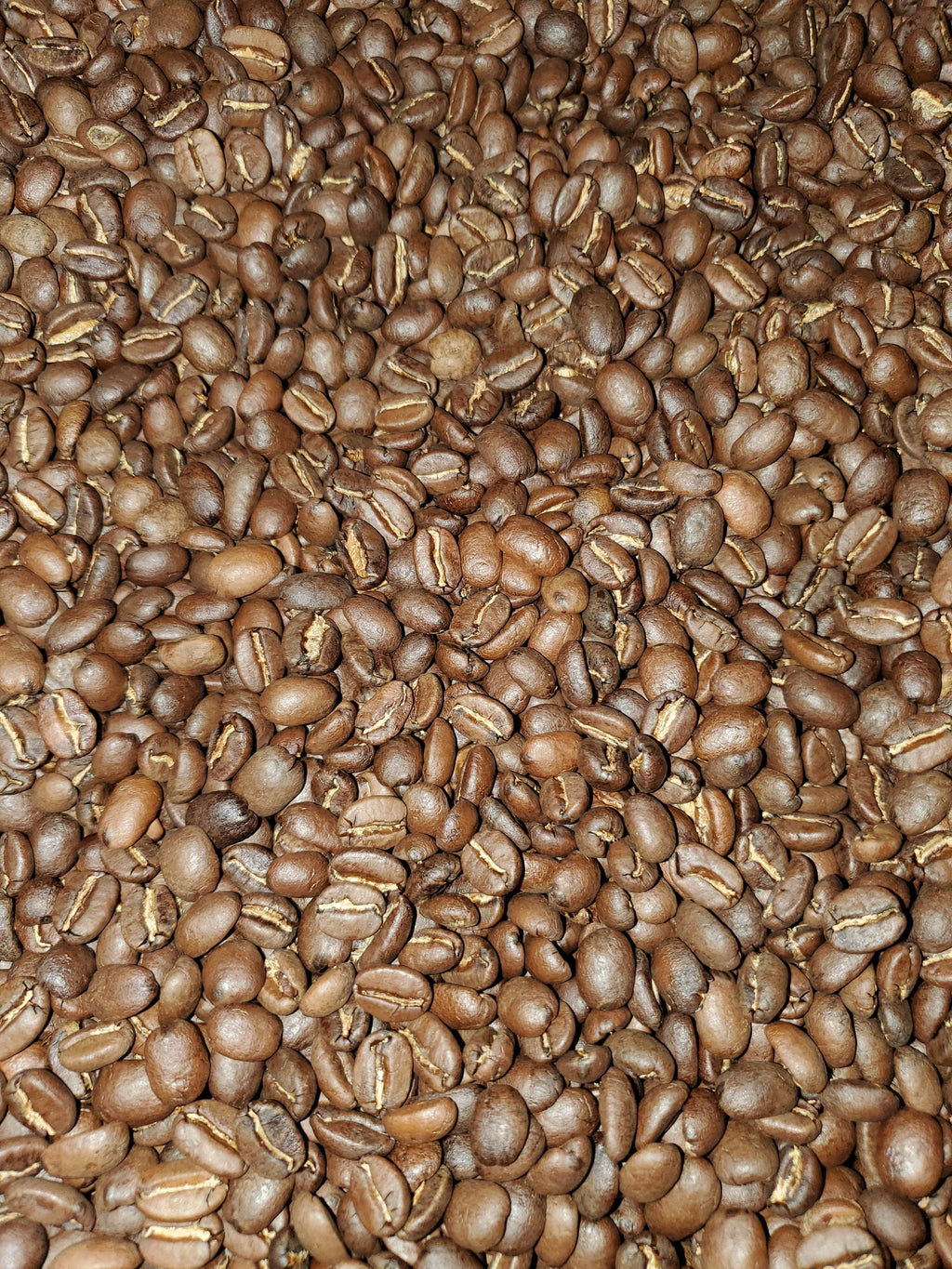Medium Roast Guatemalan SHB San Marcos Coffee I9185
