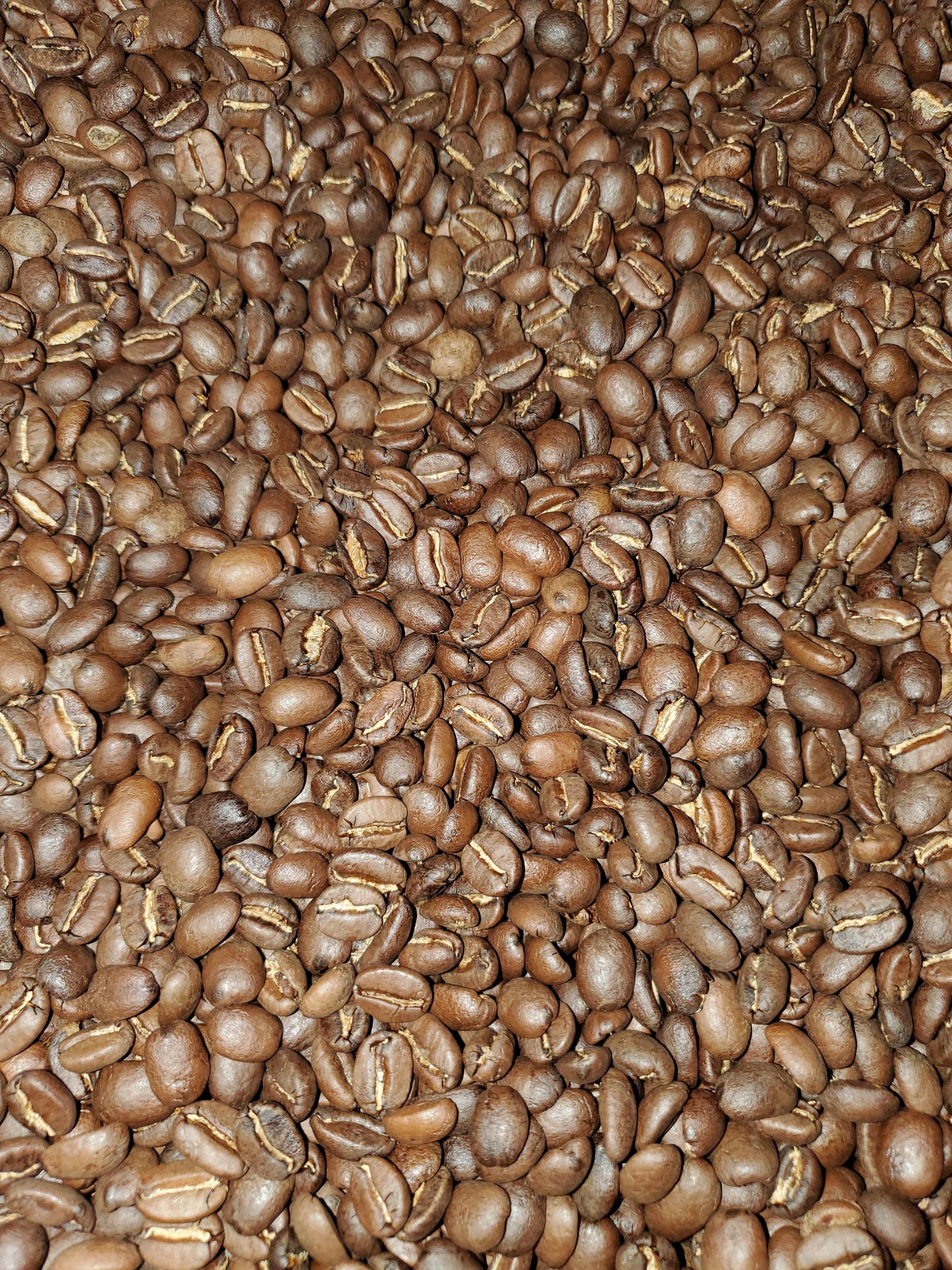Medium Roast Guatemalan SHB San Marcos Coffee I9185