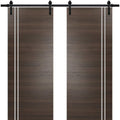 Double Barn Door 36 x 80 inches with Frosted Glass X748