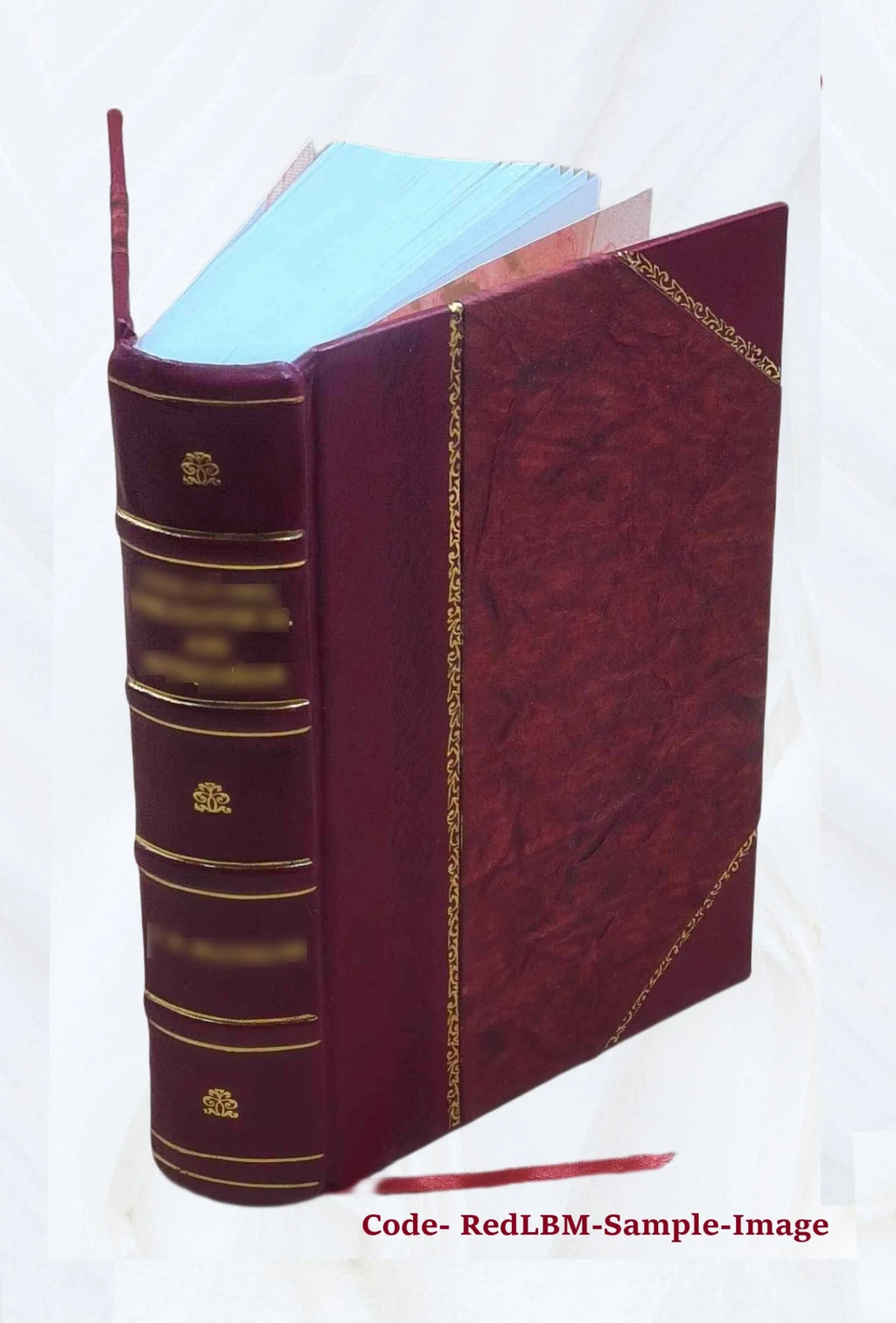 Leather Bound Book Y877