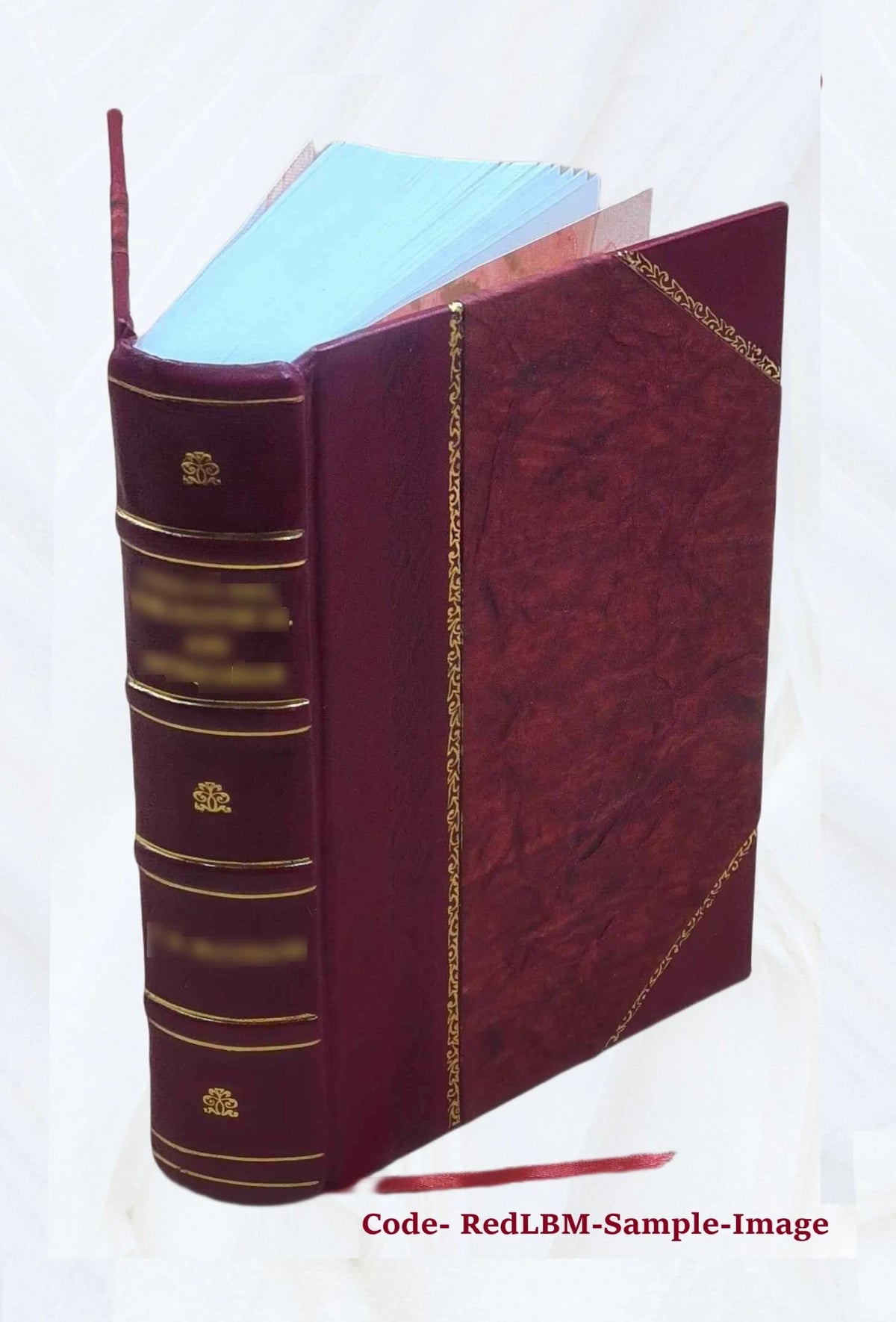 Leather Bound Book Y877