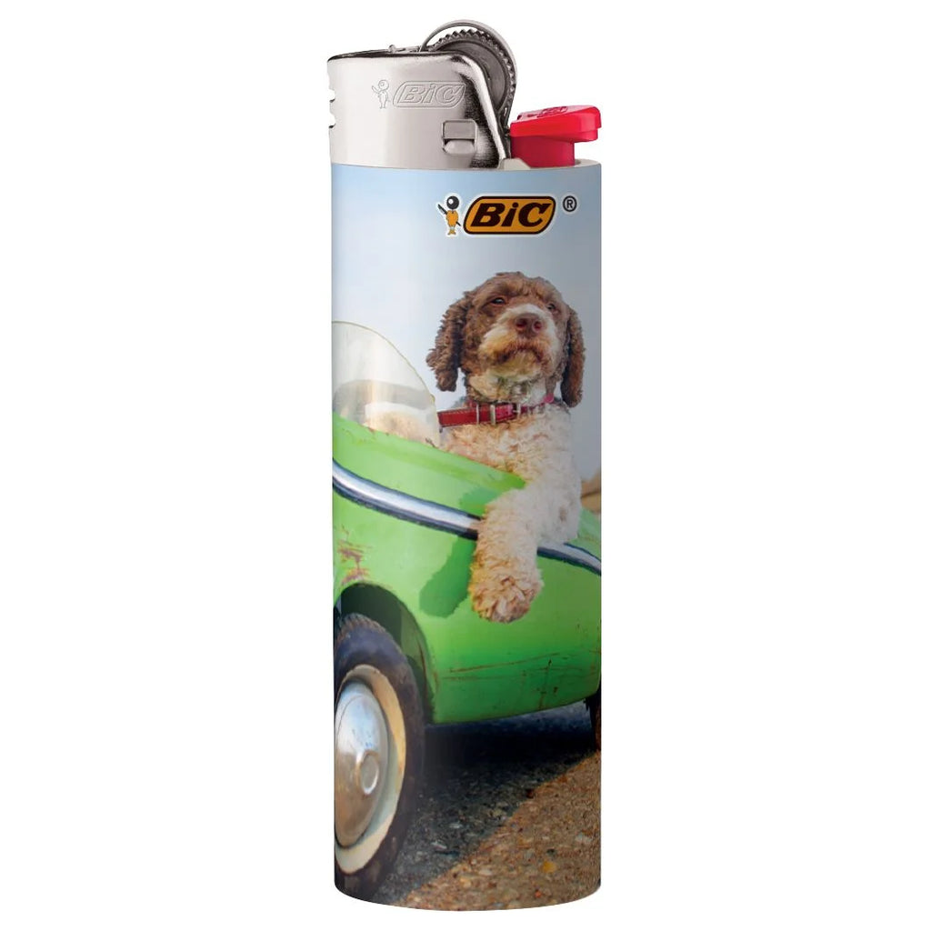 50-Count Maxi Pocket Lighters O78983