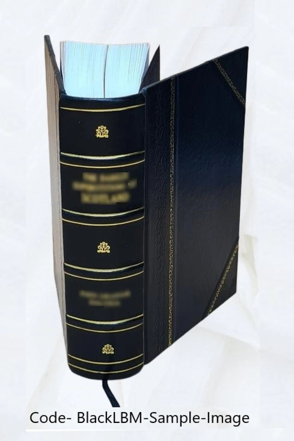 Leather Bound Book Y877
