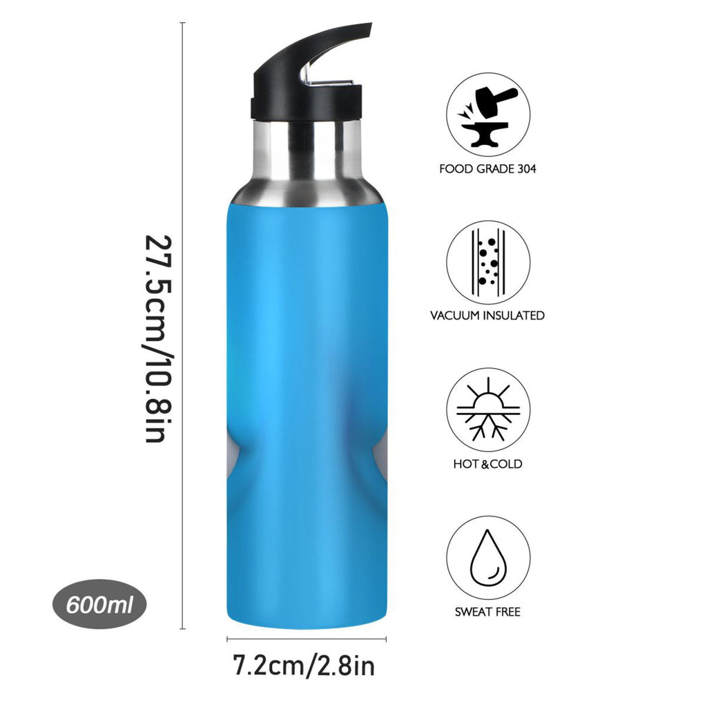 Stainless Steel Insulated Water Bottle with Straw Lid A67553