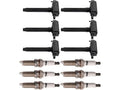 Ignition Coil and Spark Plug Kit 12 Piece N10321