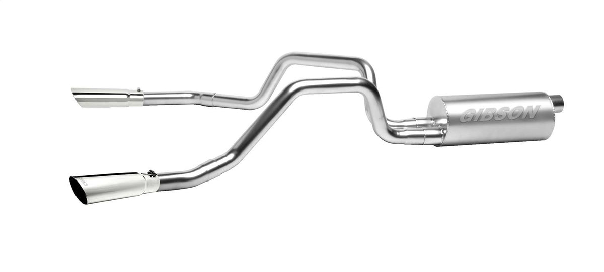 Stainless Cat-Back Dual Split Exhaust System E3491