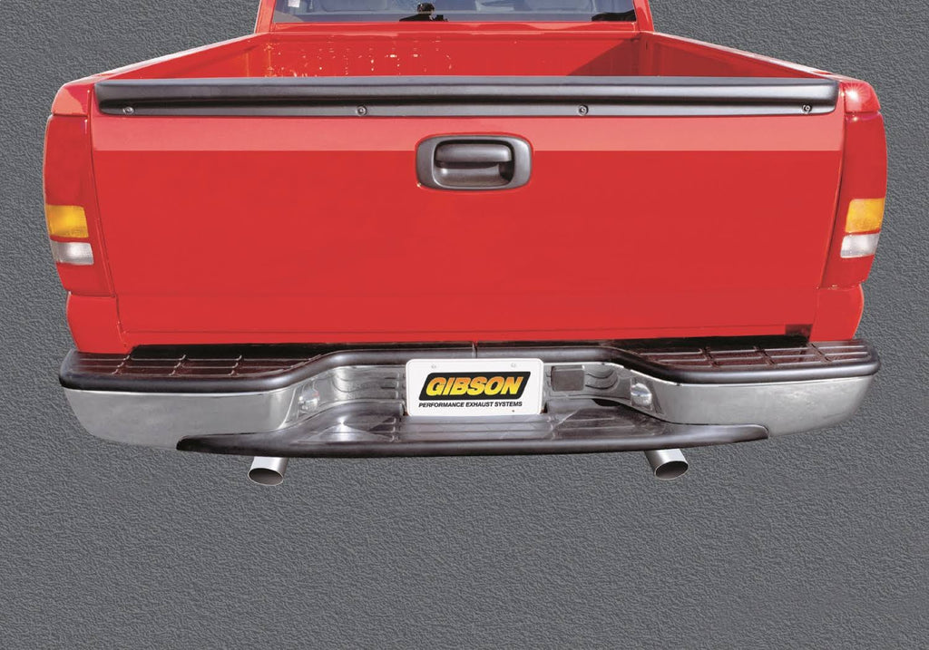 Stainless Cat-Back Dual Split Exhaust System E3491