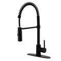 Black Single-Handle Pull-Down Sprayer Kitchen Faucet F91749