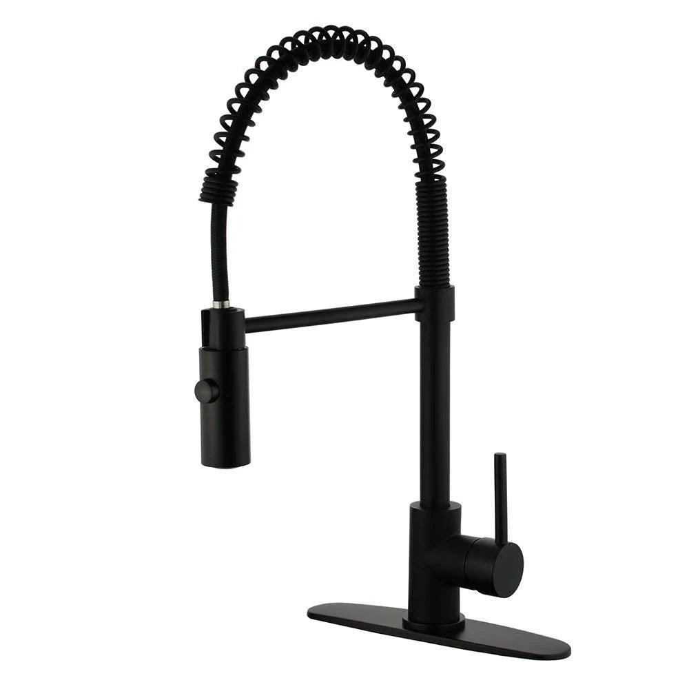 Black Single-Handle Pull-Down Sprayer Kitchen Faucet F91749