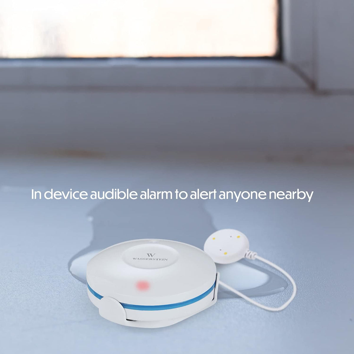 2-Pack White WiFi Water Leak Sensor J948