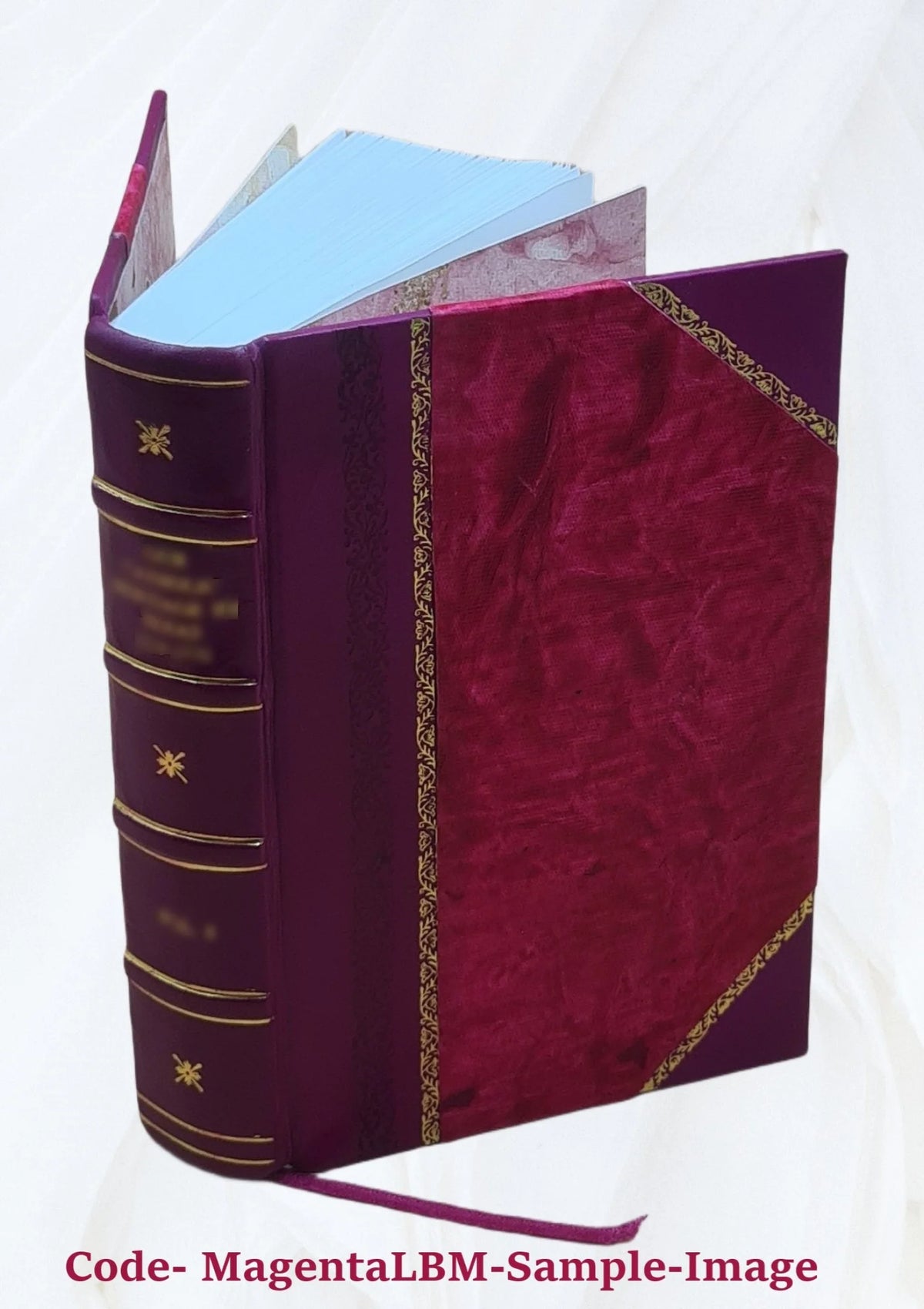 Leather Bound Book Y877