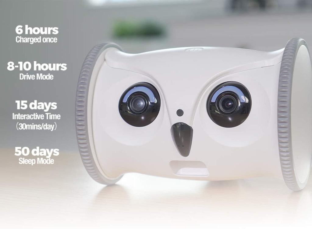 Owl Robot Pet Camera with Treat Dispenser H7219