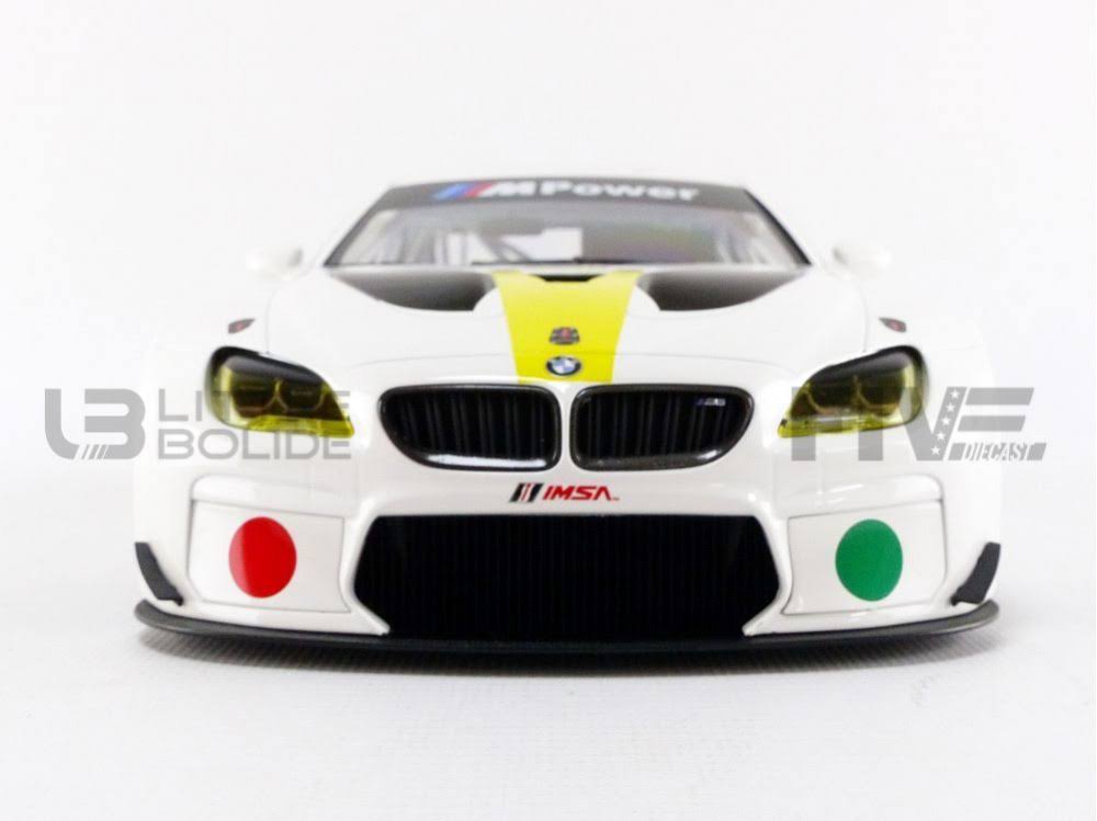 1/18 BMW M6 GTLM Art Car T40601