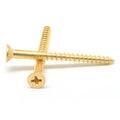 Brass Wood Screw Phillips Flat Head Pk 100 K6022