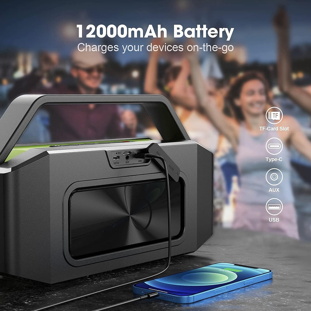 60W Waterproof Portable Bluetooth Speaker with Built-in Handle I5548